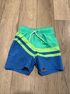 Boy size 2t Trunks in good used condition